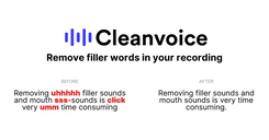 Cleanvoice AI